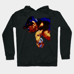 Rottweiler  puppy cute Hoodie